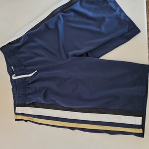 Nike blue workout shorts